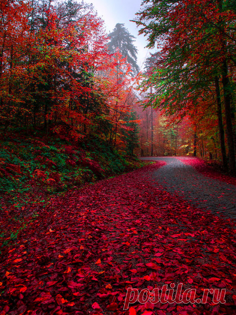 Void Whisper — lori-rocks: My Autumne Path… by Zeki Seferoglu
