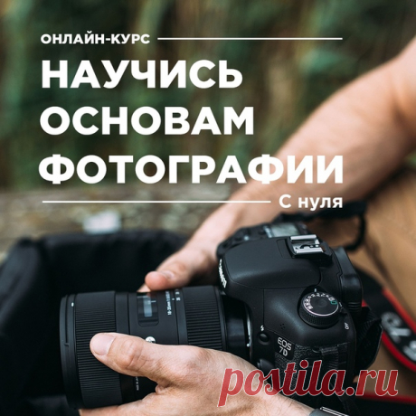 Онлайн-курс &quot;Основы фотографии для начинающих&quot; 📷 Обучаем фотографировать с нуля до профессионального уровня, даже если Вы никогда ранее этим не занимались. Также актуален для тех, кто пользуется только мыльницей или телефоном 😊 Условия участия, программа и прочие подробности👇