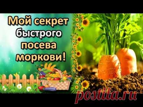 УДОБНЫЙ СПОСОБ ПОСЕВА МОРКОВИ, КОТОРЫЙ ВЫ НЕ ЗНАЛИ!