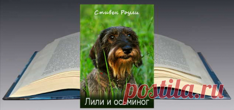 Стивен Роули. Книга: Лили и осьминог. Скачать, Читать бесплатно | Бесплатные книги