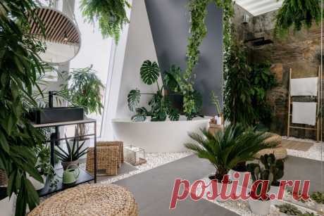 «Городские джунгли» — новый тренд озеленения квартир. Фото — Ботаничка