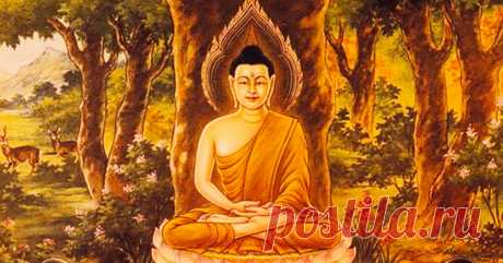 «Представьте, что у вас все есть» — любимое упражнение Будды Как-то раз после проповеди Будда был окружен большим количеством людей...