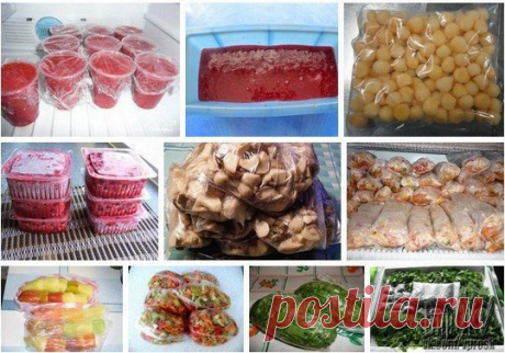 Заморозка фруктов и овощей в морозильной камере | Печем и варим