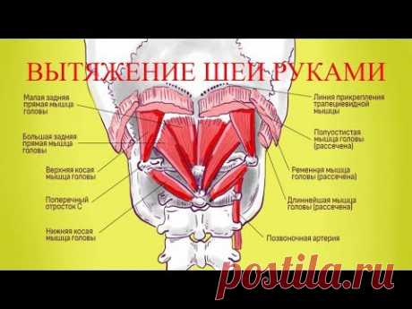 Самостоятельная постановка Атланта: Вытяжение шеи руками. Часть_1