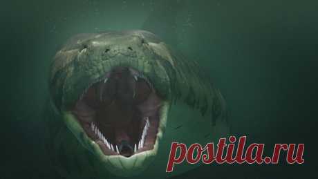 Змеи, которые питались крокодилами и динозаврами | Рекомендательная система Пульс Mail.ru