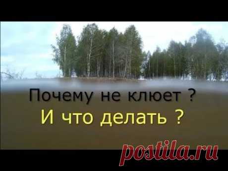 Что делать, если не клюет ? 
Что делать, если не клюет? На дворе зима и все окрестные речки и озера скованы льдом. Спиннинги убраны в чехлы и застыли в ожидании весеннего лова, а их владельцам только и остается, что вспоминать п…