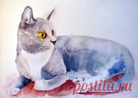 Как нарисовать кота акварелью | Онлайн-школа рисования и скетчинга | Яндекс Дзен