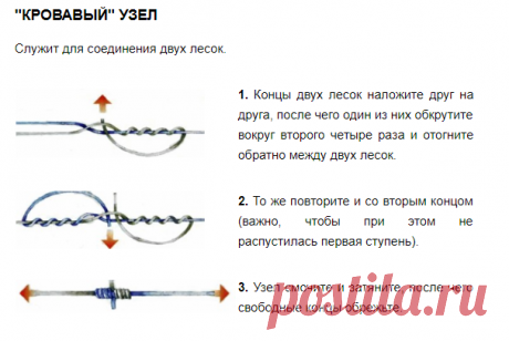 (4) Одноклассники