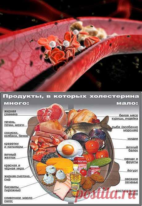 Снижаем холестерин народными методами / Домоседы