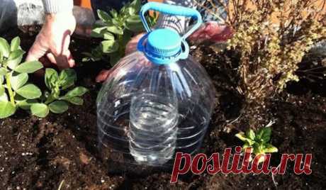 Полезное применение пластиковых бутылок на даче (Часть 10) | Дачный труженик | Яндекс Дзен