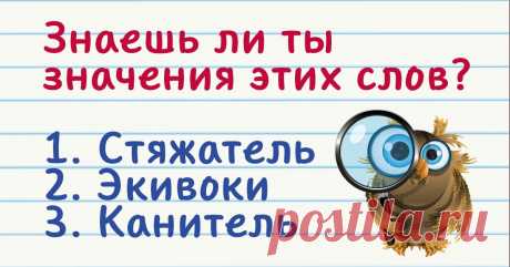 Коварные словечки, значение которых знают только умные люди Не помешает заглянуть в словарь.