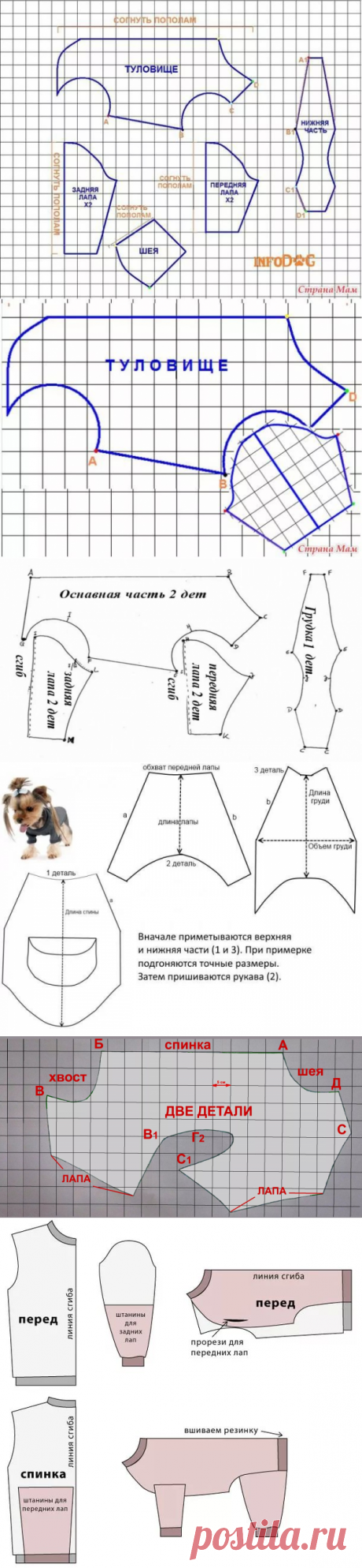 одежда для собачек своими руками выкройки: 10 тыс изображений найдено в Яндекс.Картинках