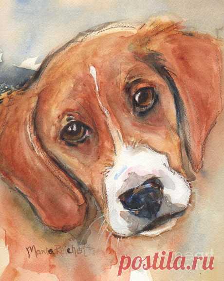 Beagle Dog  by Maria Reichert Beagle Dog  Painting by Maria Reichert