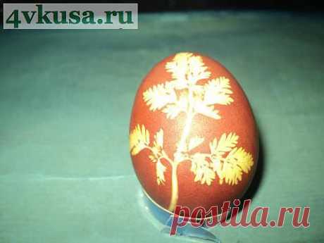 Вареное яйцо - все просто! | 4vkusa.ru
