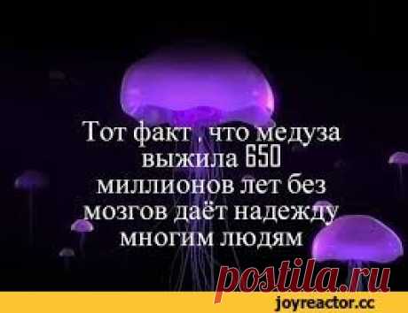 ﻿Чтобы управлять авто женщине достаточно задействовать 50% мозга / люси :: мозг :: кино :: машины :: женщины / смешные картинки и другие приколы: комиксы, гиф анимация, видео, лучший интеллектуальный юмор.