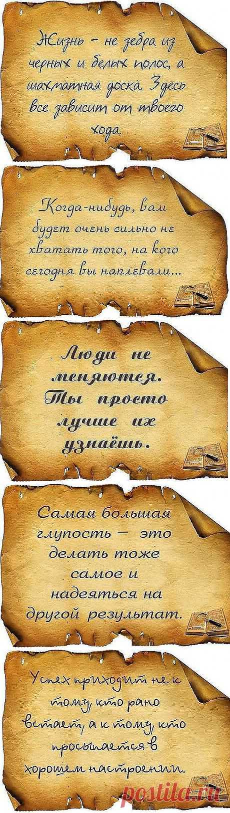 Афоризмы, цитаты, юмор | Записи в рубрике Афоризмы, цитаты, юмор | Дневник Наталья_Душкова