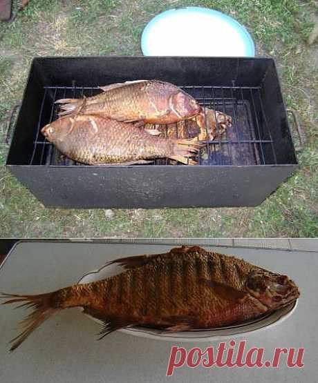 Рецепт рыбы горячего копчения | Дача на Дону