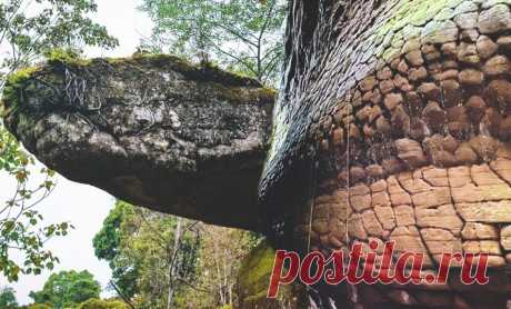 «Гигантскую окаменелую змею» размером со скалу нашли в Таиланде (что сотни лет скрывали джунгли) | Ваша Планета | Дзен