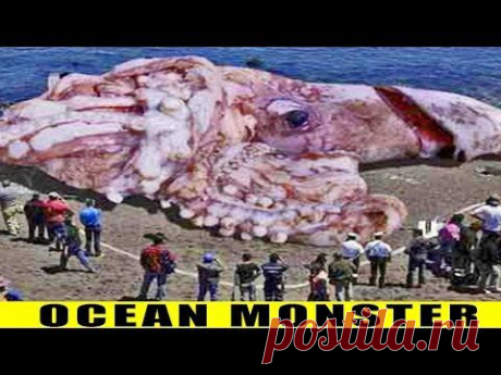 WORLD'S BIGGEST OCEAN MONSTER - REAL OR FAKE?