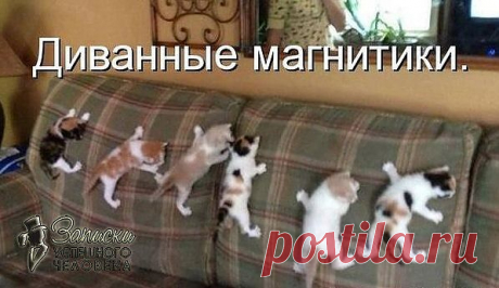 Мой Мир@Mail.Ru