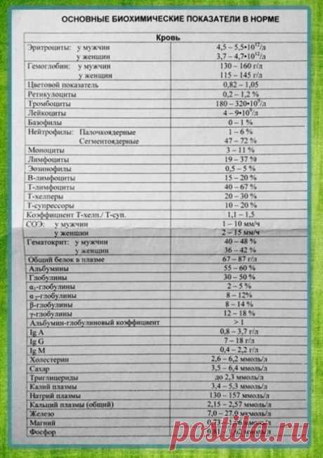 ​Какие существуют нормы анализов &amp;mdash; Полезные советы