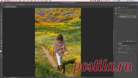 Как размыть фон на фото и избежать нечетких краев | Photoshop