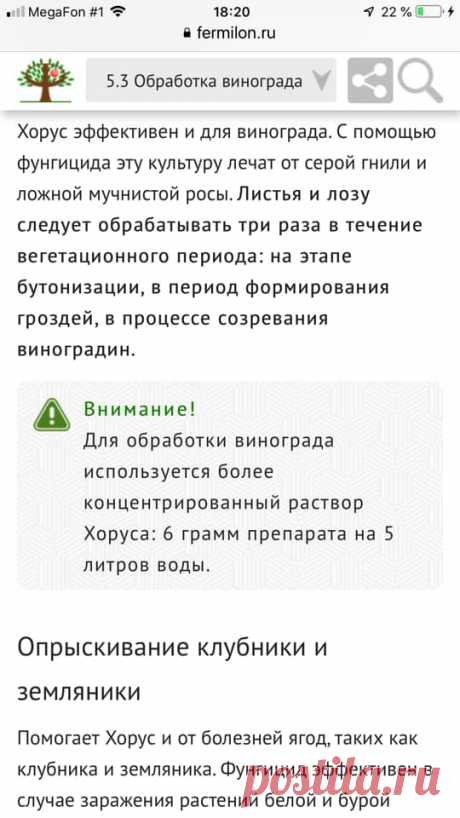 (4) Клуб розоводов Огород.ru