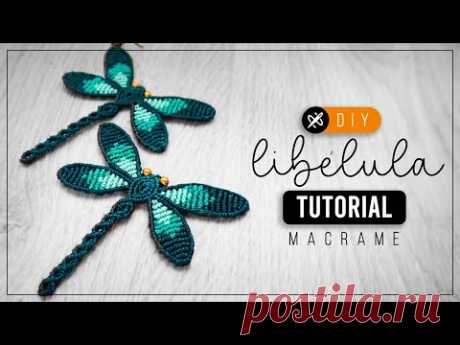 DIY Libélula » 🌱  tutorial | como hacer aretes de insecto con hilo | diy ● Macrame dragonfly #229