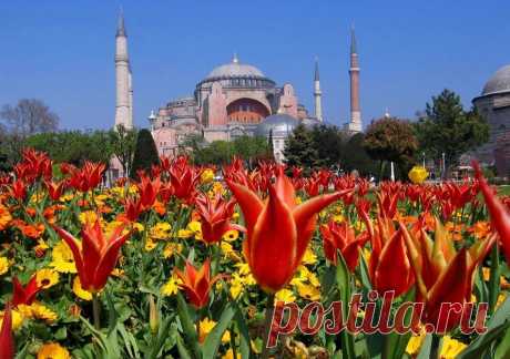 Буйство красок Фестиваля тюльпанов в Стамбуле - Путешествуем вместе