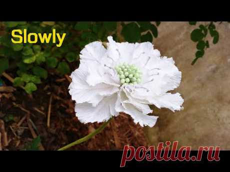 ABC TV | How To Make Scabiosa Flower From Crepe Paper (Slowly) - Craft Tutorial