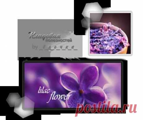 Схемы, аватары: lilac flower ...
Дневник Елена-надежда