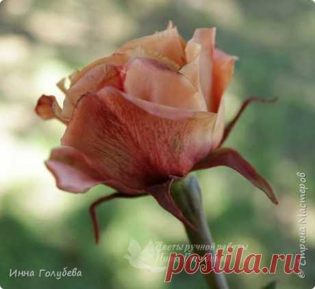 Роза цвета " капучино" из х.ф.Подробный МК.Часть вторая. | Страна Мастеров