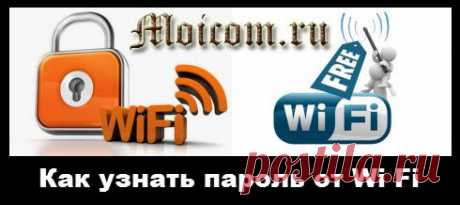 Как узнать пароль от wifi — четыре проверенные способа.