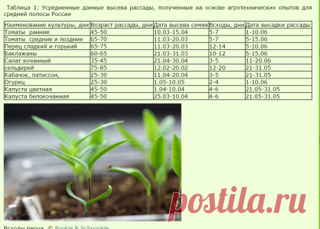 Расчет сроков посева семян овощных культур на рассаду - Советы для садовода и огородника - Всё для сада и огорода - Каталог статей - Всё для жизни