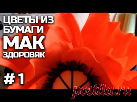 ЦВЕТЫ из бумаги. МАК ЗДОРОВЯК. Часть 1