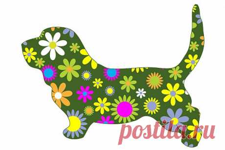 Funky Floral Retro Dog  Free Stock Photo HD - Public Domain Pictures