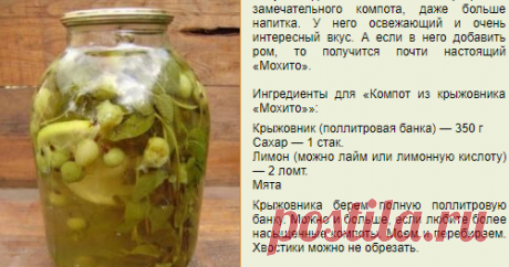 Компот из крыжовника «Мохито»