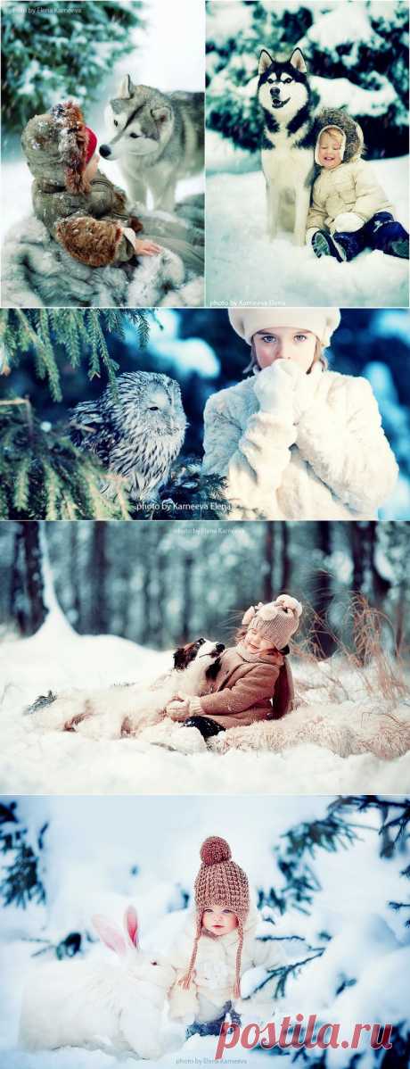 «Волшебная зима» от Елены Карнеевой - Фотоискусство
