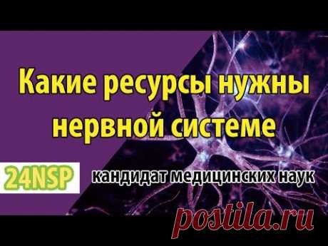 Как и чем питать нервную систему? Витамины поддерживающие здоровье нервной системы. Список от врача!