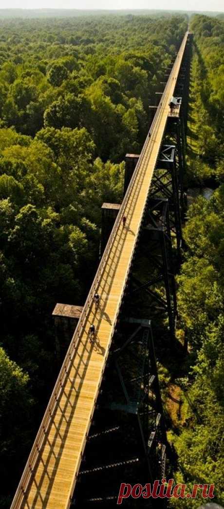 High Bridge Trail State Park | From rugged mountainous terrain to calm coastal flatlands, Virginia has no shortage of cycling options with amazing scenery  |  Pinterest: инструмент для поиска и хранения интересных идей