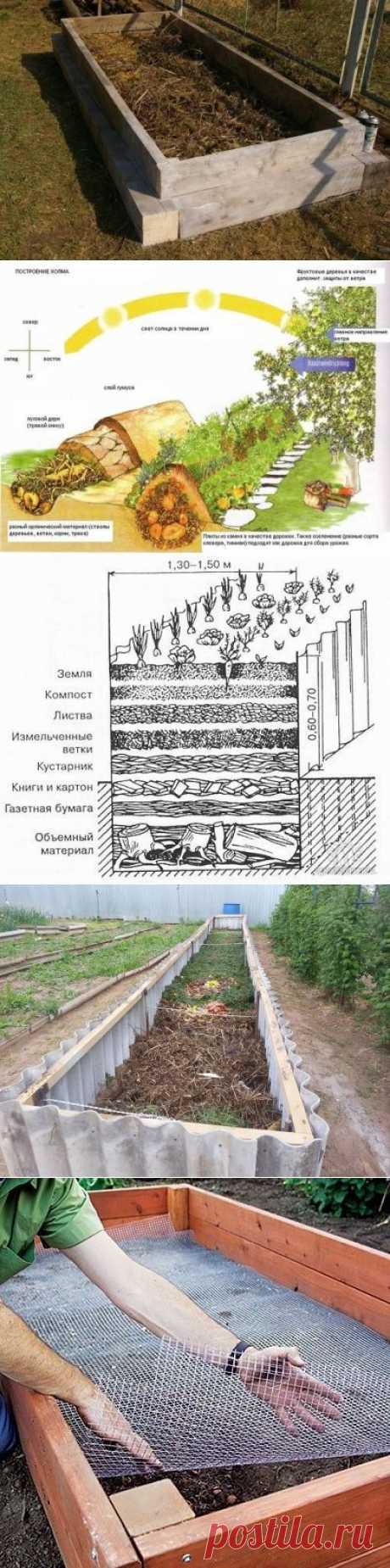 Теплые грядки для следующего сезона — 6 соток