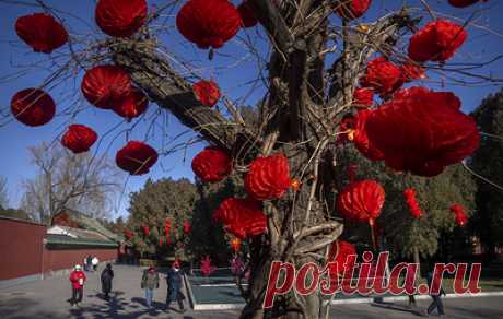 Жители Китая готовятся к встрече Нового года. Наступающий лунный год будет проходить под знаком Кролика