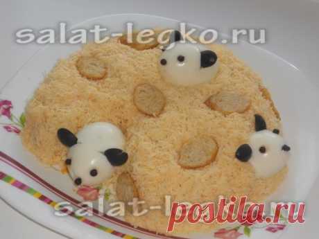 Салат "Мышки в сыре": рецепт с фото