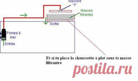 Ma modeste pièce à poissons - Page 2