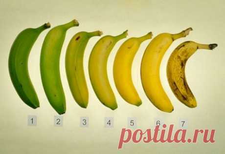 Какие бананы нужно кушать - зеленые или с темными точками — Полезные советы