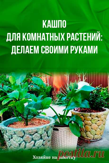 Кашпо для комнатных растений: делаем своими руками