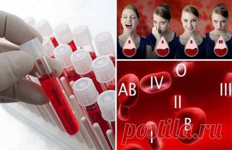 Несколько фактов о группе крови — Наука и жизнь