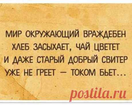 15 забавных открыток для хорошего настроения на весь день	(15 фото)