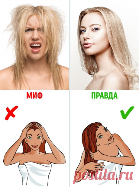 10 мифов о волосах, которые мешают нам отрастить здоровые локоны | Всегда в форме!