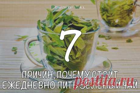 7 причин, почему стоит ежедневно пить зеленый чай